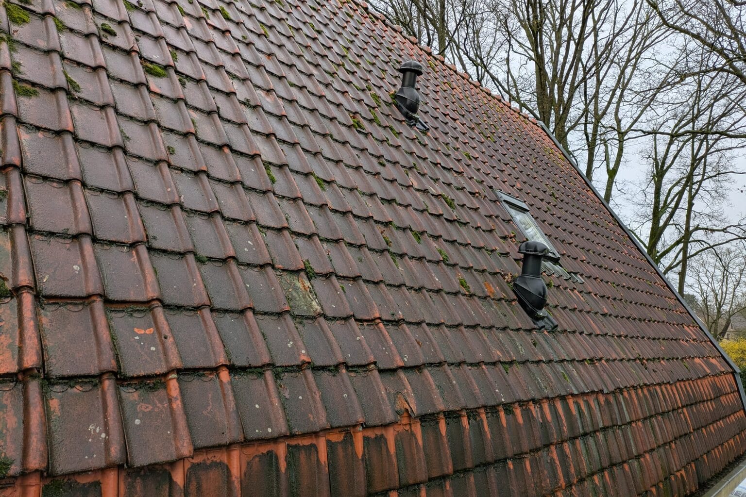 Verouderd pannendak met mosvorming en twee ontluchtingspijpen